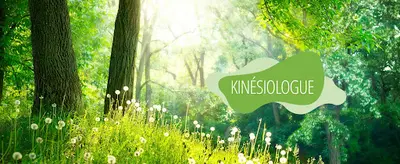 Fpk Kinésiologie et Kinésiologie Animale