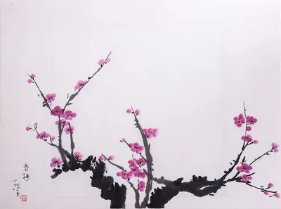 Cabinet d'Acupuncture et Médecine Traditionnelle Chinoise