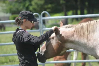 Cathelyne Kinésiologie Animale