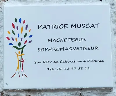 Patrice Magnétiseur