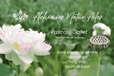 Pascale Gallet - Alchimies Natur Ailes