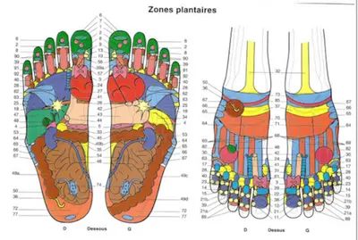 Reflexologie & Massages - Relax et Vous