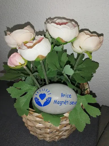 Brice Bach Magnétiseur
