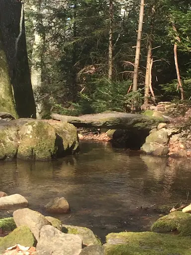 Moullec Catherine - Hypnothérapeute