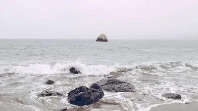 Praticienne Bien-être : Réflexologie, Fleurs de Bach, Technique Métamorphique,...