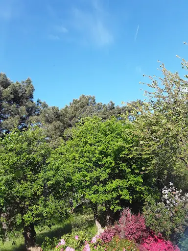 Reflexologue Plantaire Un Nuage de Douceur
