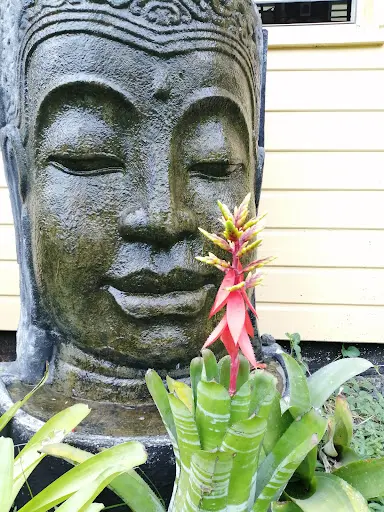 Reiki en Guadeloupe, Pointe-noire