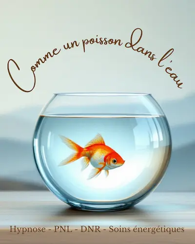 Comme Un Poisson Dans l'Eau - Stéphane Maritch- Hypnose - Pnl - Dnr - Soins Énergétiques - Géobiologie