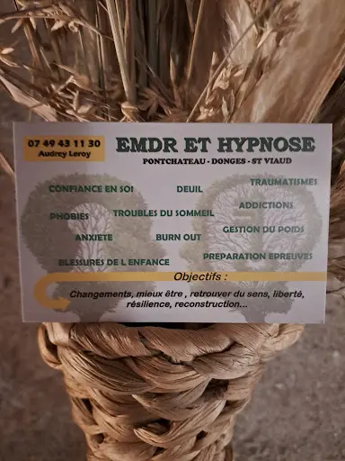 Emdr et Hypnose Pontchâteau Audrey Leroy