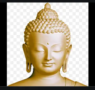 Sophrologie-hypnose-coach-energetique-yoga-emdr-pontchateau-laure de la Roche-44
