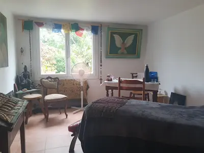 Magnétiseur T Liut