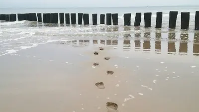 Reflexologue Deleu Maggy au Pied du Bien-etre