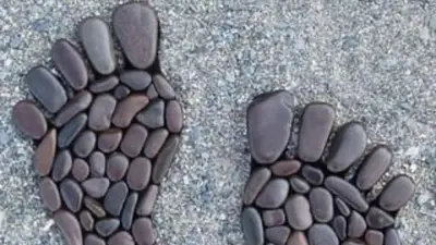 Camille Palmier - Réflexologue - Magnetiseuse / P’tits Pieds Reflex