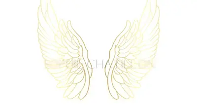 Sophie Chatillon Hypnothérapeute Spécialisée en Hypnose Régressive Spirituelle Énergétique