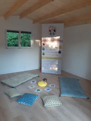 Ariane Johnson Sophrologue Rncp - Enfants, Ados, Fiv, Pma et Tout Public - Tours