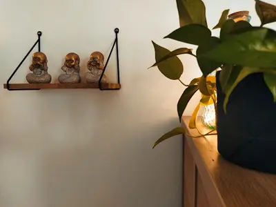Zoé le Fur Réflexologie Plantaire et Faciale