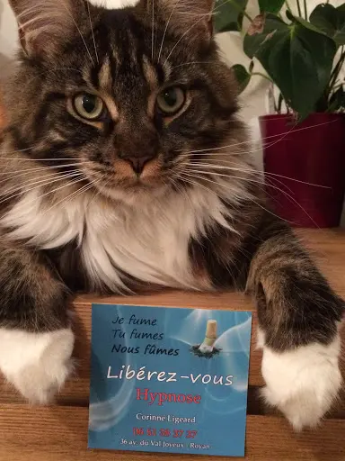Corinne Ligeard Sophrologue (hypnose - Arrêt Tabac)