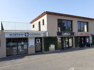 Audition Conseil Salernes