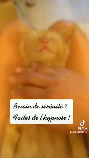 Hypno83 - Laetitia Bonin - Hypnose Généralisée Avec Spécialité Périnatalité - Infertilité - Deuil Périnatal …