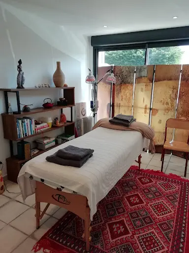 Dr Acupuncture / Energétique Traditionnelle Chinoise / Elodie Macquart
