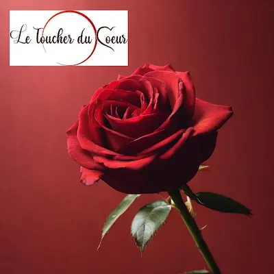 Dr Le Toucher du Coeur