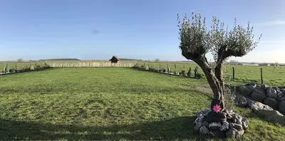 l'Elan Vital