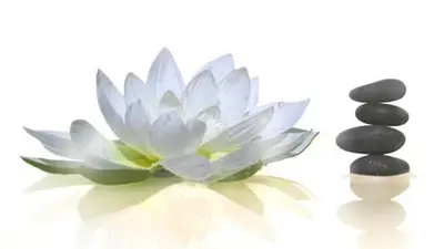 Naturopathie,hypnose Nouvelle Génération et Coaching Infin’essence Sylvia Silvestre