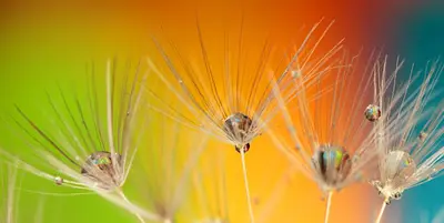 Sophrologie, Hypnose & Ritmo® (proche Emdr) Betty Sanfratello St Chef Nord Isère