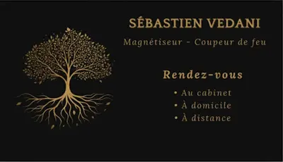 Sébastien Vedani Magnétiseur