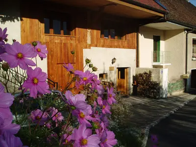 Cabinet de Réflexologie du Hameau de Filly