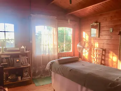 Reinergie Soins Énergétiques Magnétisme/lahochi /radiesthésie Thérapeutique /reiki