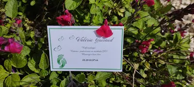 Valérie Guiraud /naturo Praticien Jmv /réflexologie Plantaire et Psycho Émotionnelle