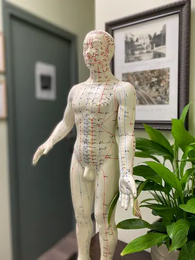 Dr. Eida Bui - Médecine Générale • Acupuncture