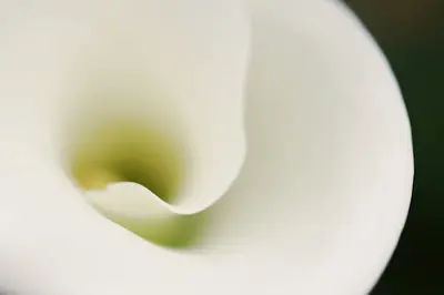 La Floraison de Ton Envol