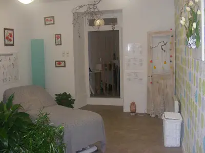 Mj Vaugoyeau 6,rue Louis Blanc 87500 St Yrieix la Perche
