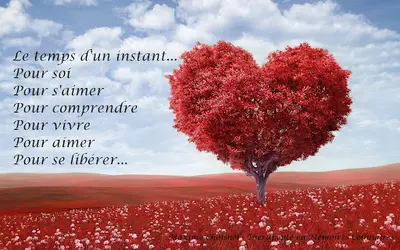 Le Temps d'Un Instant - Maxime Choisnel