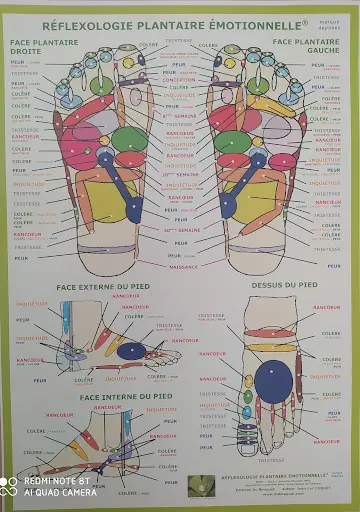 Réflexologue Plantaire Émotionnelle, Shiatsu en Entreprise, Sainte Pazanne, Alexandra Gérard
