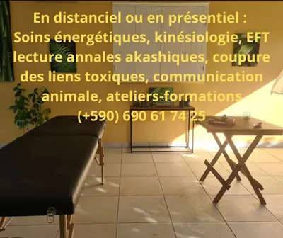 Carole Marchant Luciole Étoilée - Kinésiologie, Thérapeute Énergétique, Géobiologie, Magnétiseur, Eft, Communication Animale