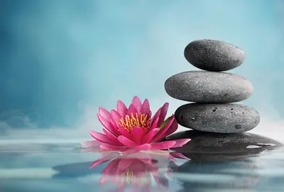 Hypnorelax Cindy Prost Praticienne en Hypnose À Tassin la Demi Lune