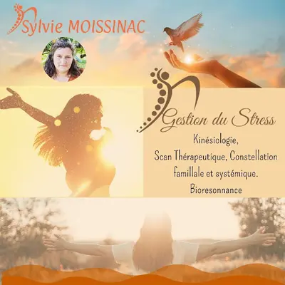 Sylvie Moissinac - Consultante en Gestion du Stress et Accompagnement Émotionnel