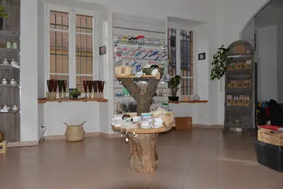 Annexe de Pharmacie