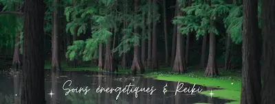 Frédéric Safont - Soins Energétiques & Reiki (toulouse)