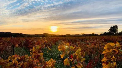 Hypnothérapeute - Sexologue - Stéphane Henry - Hypnosexotoulouse.fr