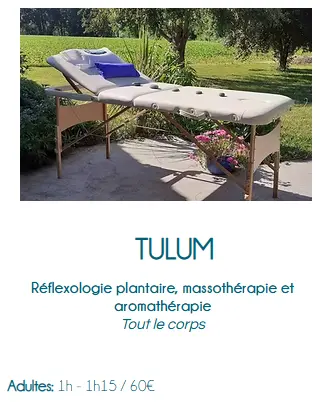Ollin - Réflexologie & Massothérapie Toulouse et Alentours / Bassin d'Arcachon - Adultes, Enfants, Bébés, Femmes Enceintes