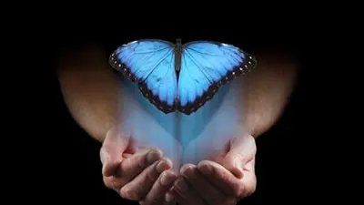 Met À Morphose