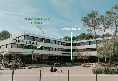 l'Essence des Sens Kinesiologie