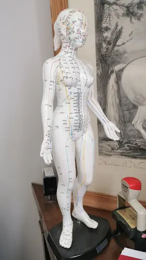 Dr Florence Paturel