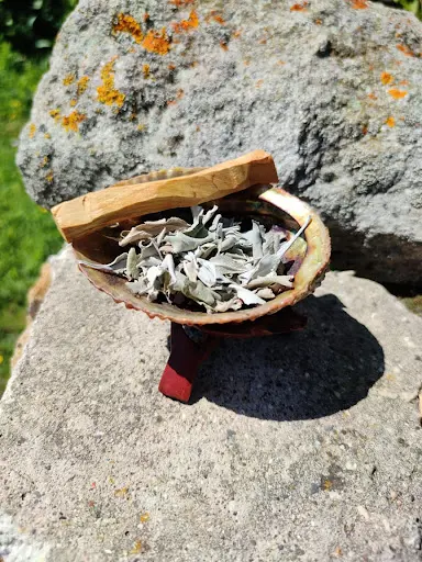 Agnar Magnétiseur Médium sur Veyre-monton