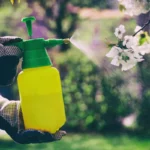 14 insecticides santé