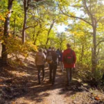 4 nature détente